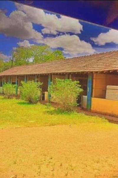 Whatsapp Image 2023 03 10 At 18.47.30 1