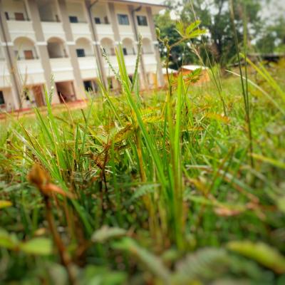 Whatsapp Image 2023 03 10 At 18.50.54